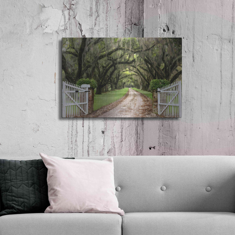 Plantation Road par Daniel Burt - Photographie sans cadre sur métal, H 24 po x l 36 po x P 0,13 po