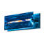 Haidyn 1 - Light Bath Sconce