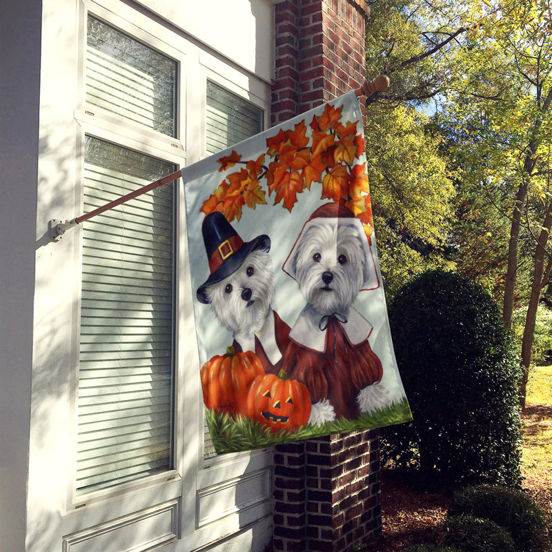 Drapeau de maison Hvidovre Sheltie Halloween en polyester à 2 faces 3 x 2 pi, Westie pèlerins de l'Action de grâce