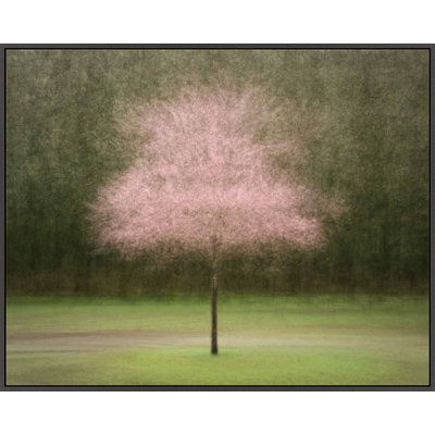 Pretty in Pink by Laura Zimmerman - Framed Wall Art