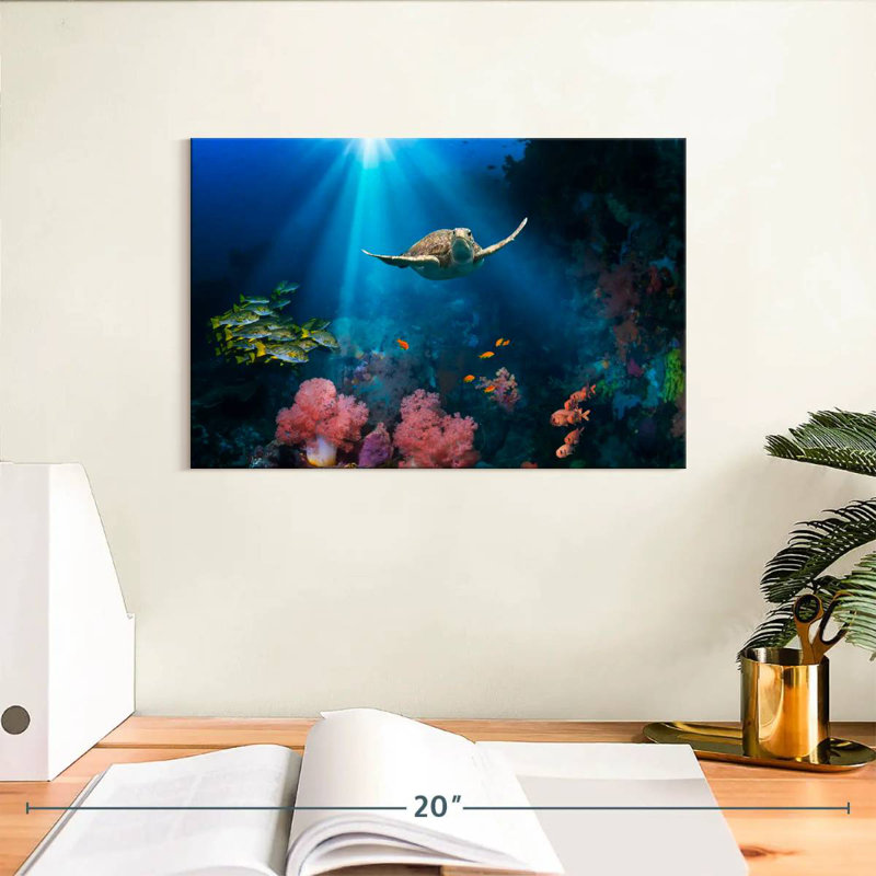 Brampt Ocean Underwater, 8" H x 12" W