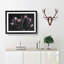 Tulip Flowers in Purple - Framed Print-55615103-55615110