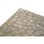 Hand-Knotted High-Quality Beige Area Rug