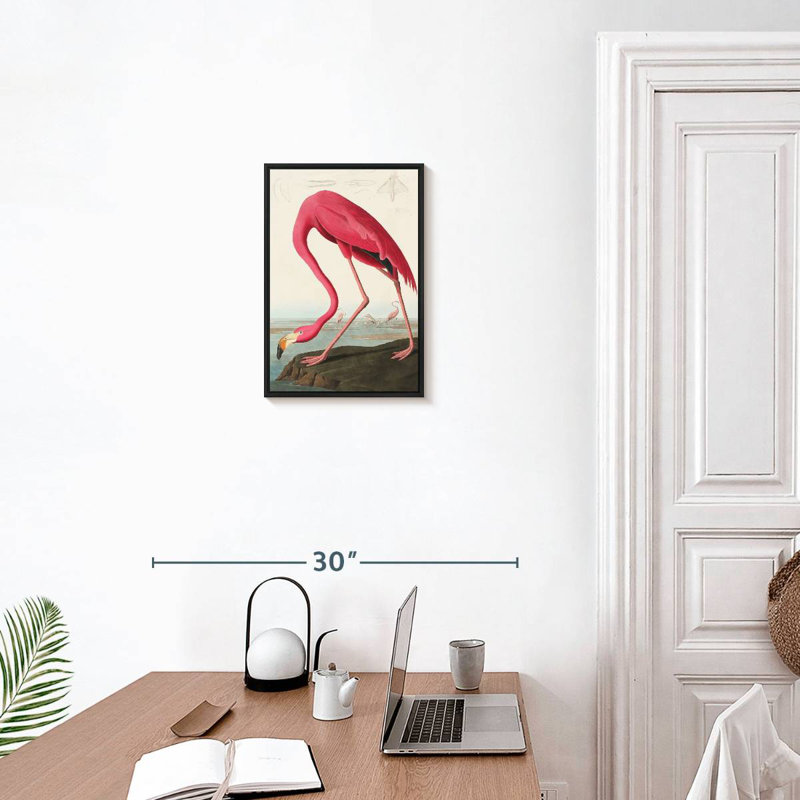 Flamant américain, 13 po x 19 po, Cadre flottant noir