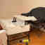 Photos des clients 1 de 1