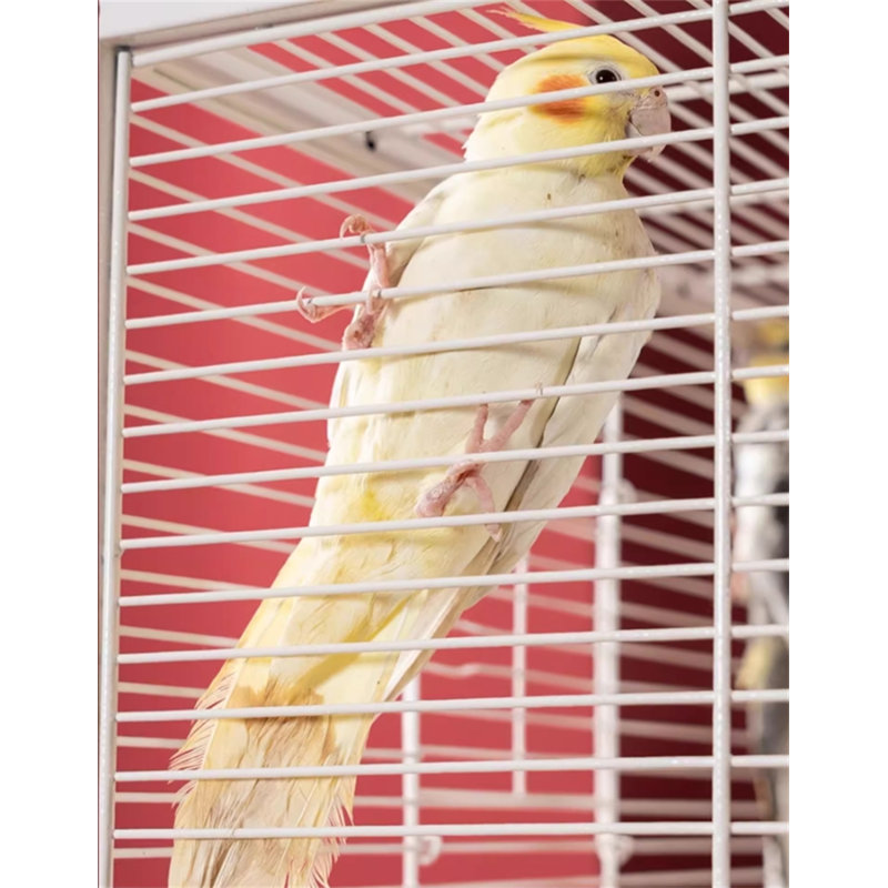 Cage à oiseaux 33 po Wendover
