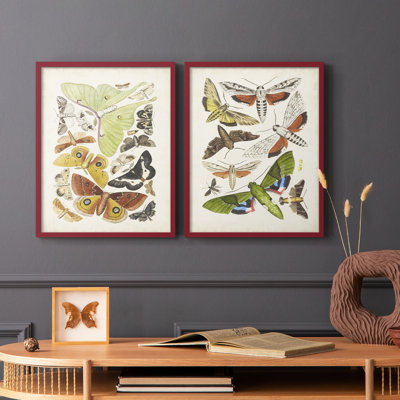 Antique Moths I - impression encadrée de qualité supérieure - prête à être accrochée - aucun clou requis - aucun clou requis