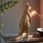 Nurseli Resin Novelty Lamp-199811628