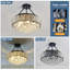 Hamblin Chandelier-1064497418