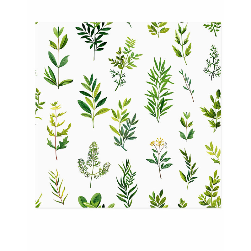 «Botanical Plants & Herbs VI Cottage», reproduction d'art non encadrée, H 28 po x l 28 po