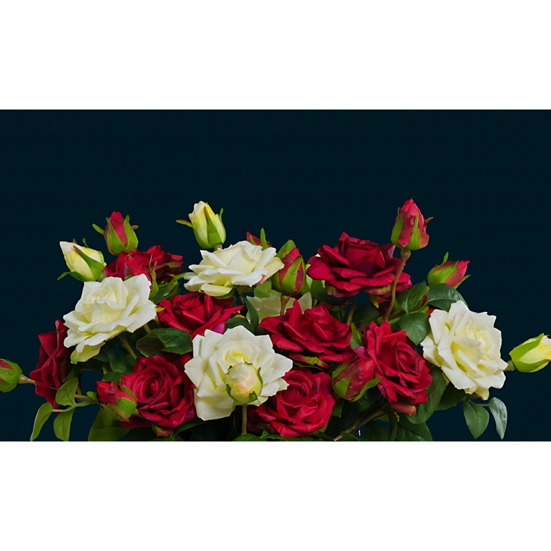 Rose Arrangement, Rouge / blanc