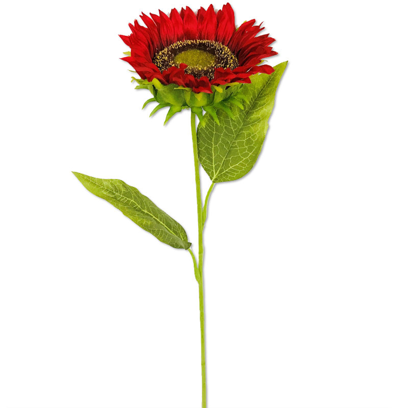 Tige de tournesol, Rouge / Vert / Brun