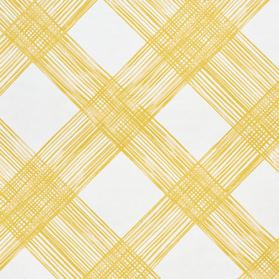 Schumacher x Porter Teleo Traverse Wallpaper