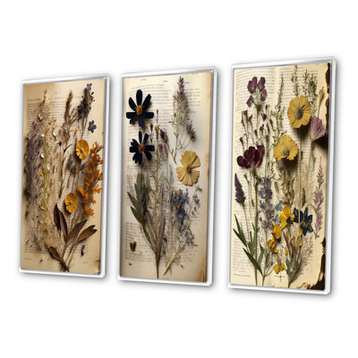 " Dried Vintage Wildflowers VI " by Designart 3 - Pieces