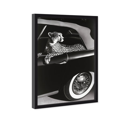 Oliver Gal Convertible Feline I Animals - Luxury Shadowbox Framed Wall Art