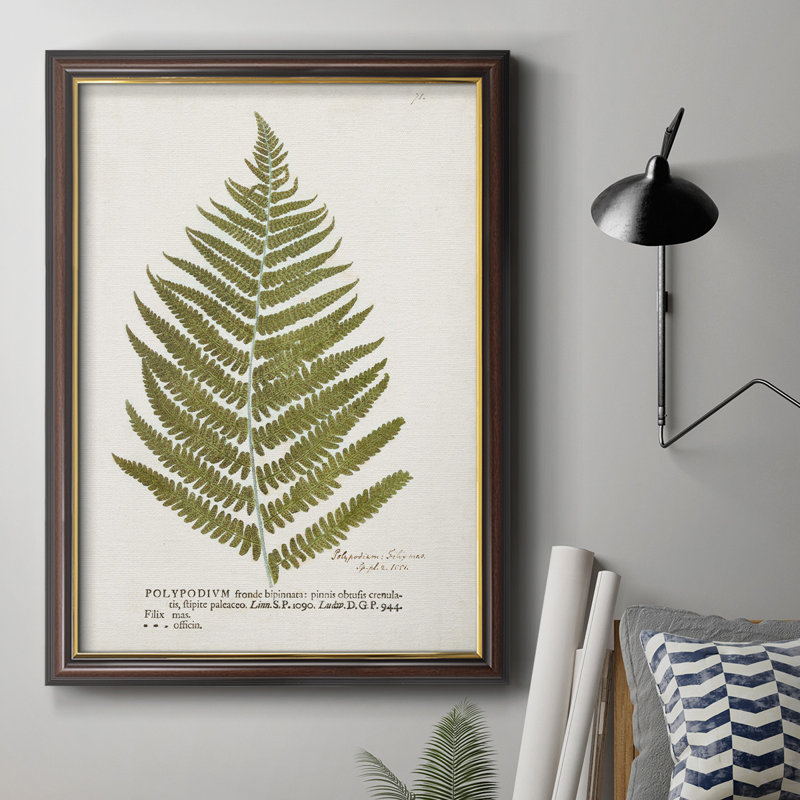 Nature imprimée, fougères II, toile encadrée de qualité supérieure - prête à être accrochée, H 20 po x l 16 po x P 2,5 po
