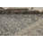 Wool Oriental Indoor Rug