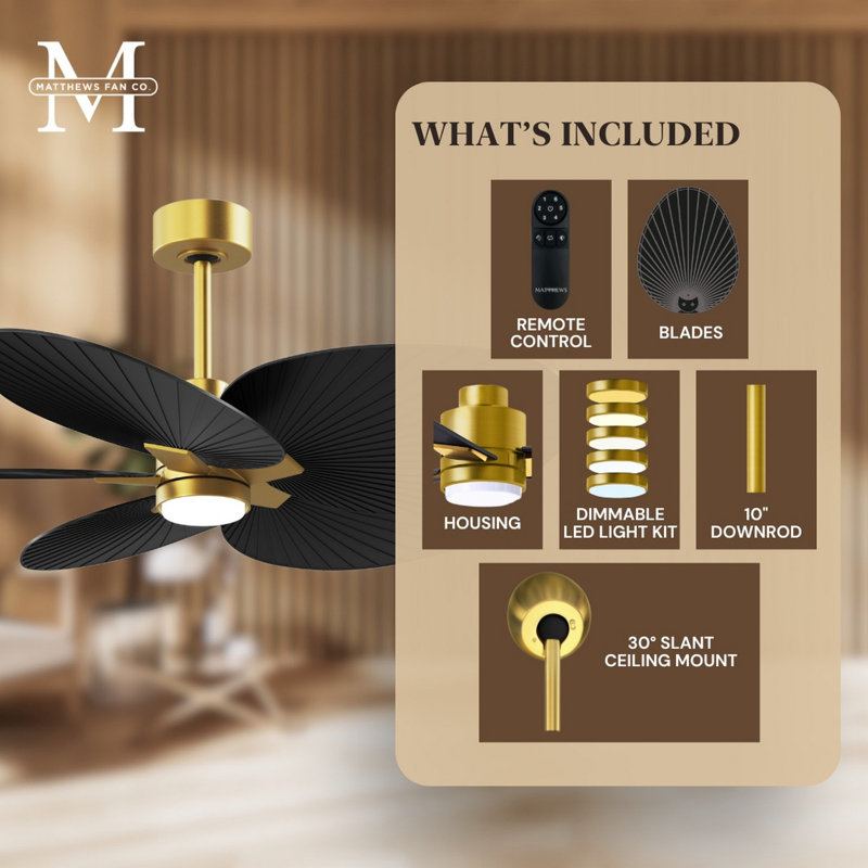 Alessandra Tropical - Five Blade Ceiling Fan - Integrated LED -Matte Black Finish -Light Blue Blades, Brushed Brass