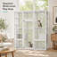 Cat House-1595774778