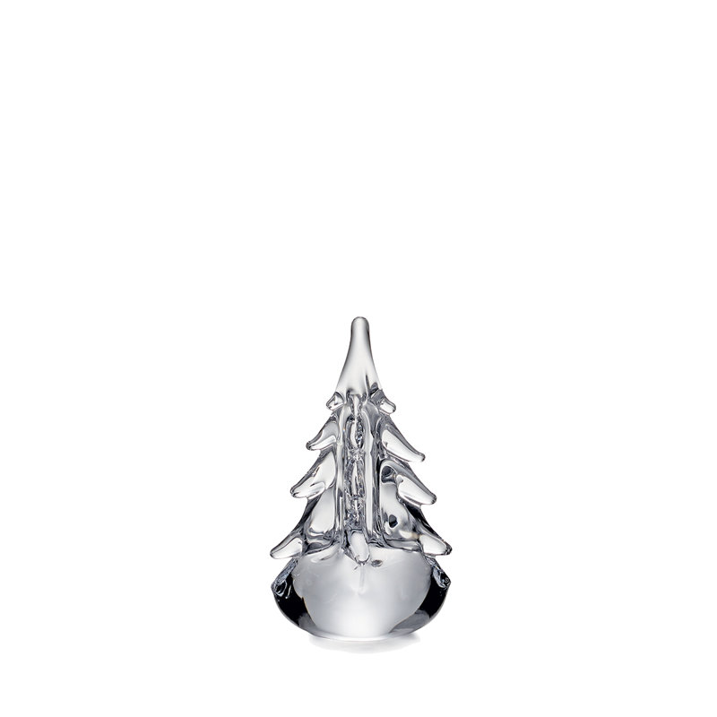 Five-Sided Evergreen, 6 inch