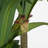 Faux 59'' Dracaena Tree