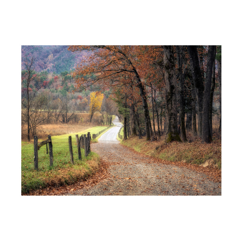 «Deshmuk Autumn Drive I» par Danny Head, H 14 po x l 19 po x P 2 po