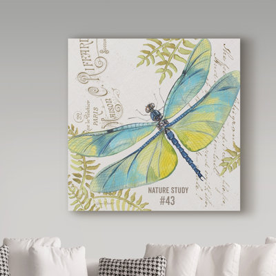Deagen 'Botanical Dragonfly 3' Graphic Art Print on Wrapped Canvas