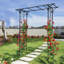L'arche de jardin en métal 80,3 po x 20,02 po x 81,1 po, noire, améliore le décor du jardin avec des vignes grimpantes d'une hauteur de 81,1 po, 80,3 po x 20,02 po, pour diverses plantes
