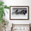 Winter Roundup I - Photographie avec cadre-1226318063-1226318060
