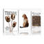 3 Piece Wrapped Canvas Print-1097637279