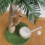 Indoor Cat Scratching Post, Interactive Scratcher