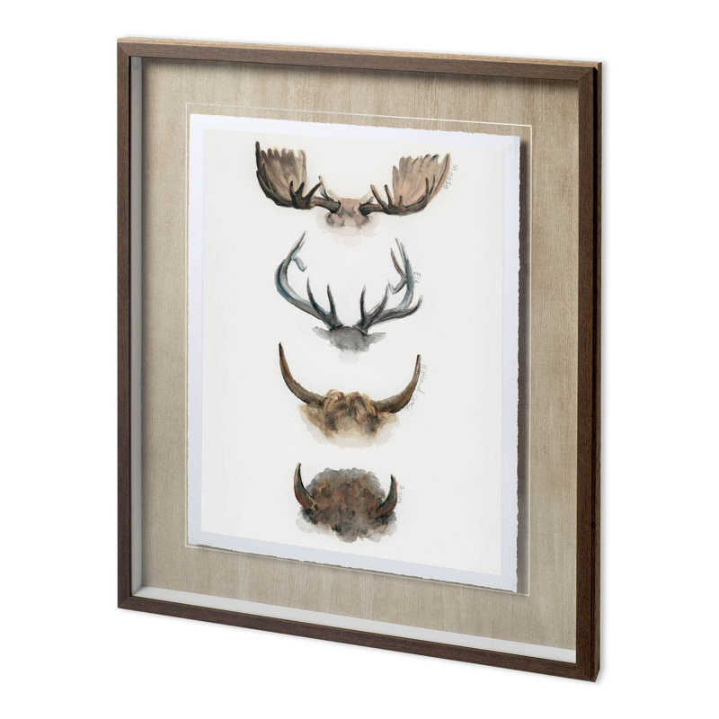«Horn & Tail Study II», reproduction d'art encadrée texturée avec passe-partout, Horn & Tail Study II