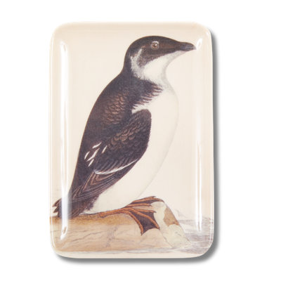 AUK VALET TRAY