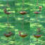 Ensemble de 6 mangeoires d'oiseaux décoratives pour parasol
