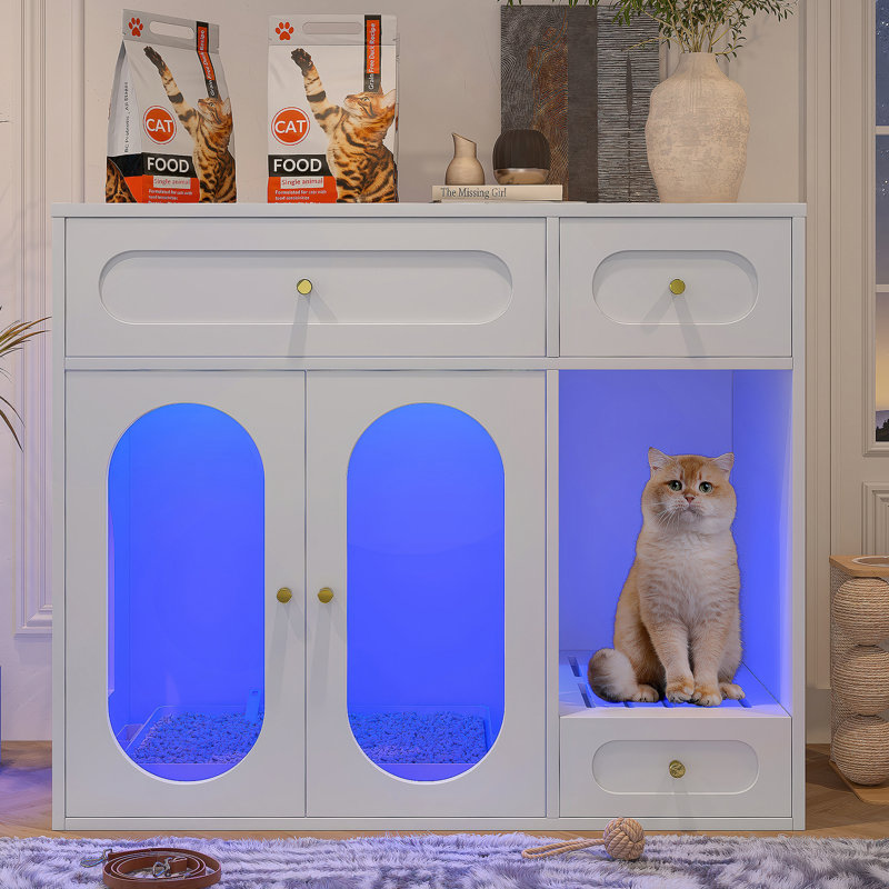 Enceinte de litière pour chat avec lumière DEL, tiroirs de rangement et conception de labyrinthe à entrées multiples pour chats d'intérieur.