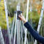 Rotary / Umbrella Clothesline