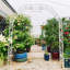 Support en métal pour arche de jardin-449672694