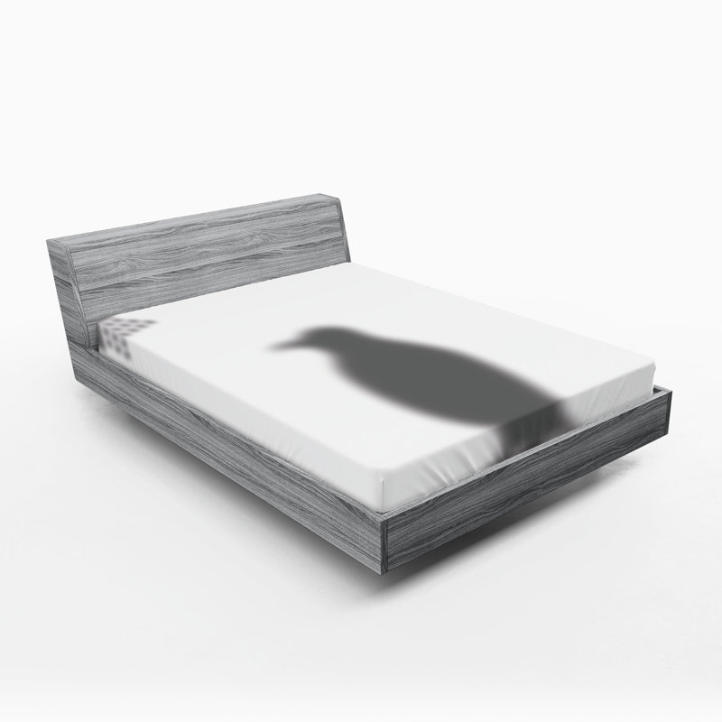 Drap-housse Ambesonne