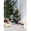 Boa Tabletop Wine Bottle Rack-17643008