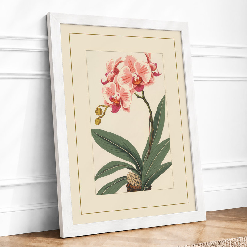 Pink Orchid Study Botanical - Framed Print, A2 - 59.4 x 42.0 cm, White