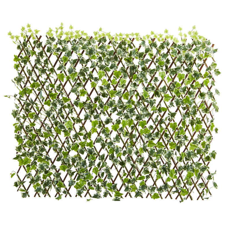 39 po Clôture extensible English Ivy résistante aux rayons UV et imperméable