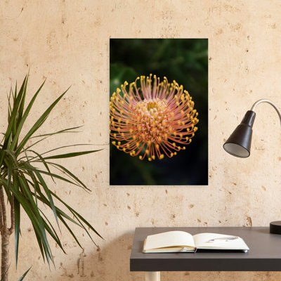 Contemporary Art Vibrant Abstract Flower Nature Art