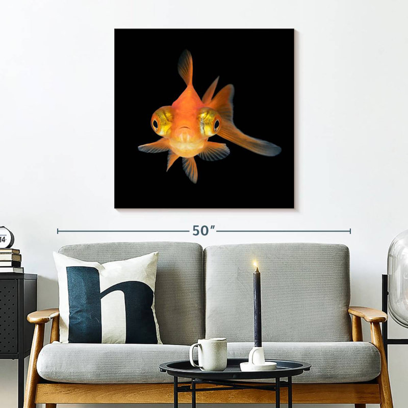 Crowle Telescope Eye Goldfish