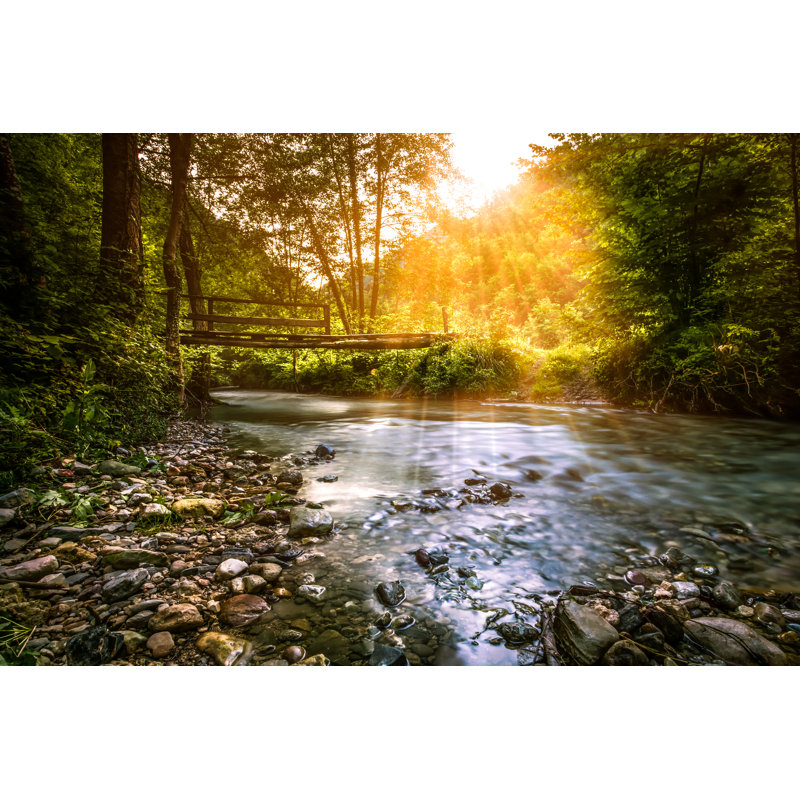 Fortham Forest Stream - Wrapped Canvas Print, 30cm H x 46cm W x 3.8cm D