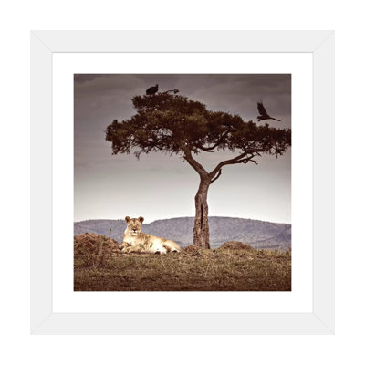 « Observance I » par Klaus Tiedge-reproduction de photo