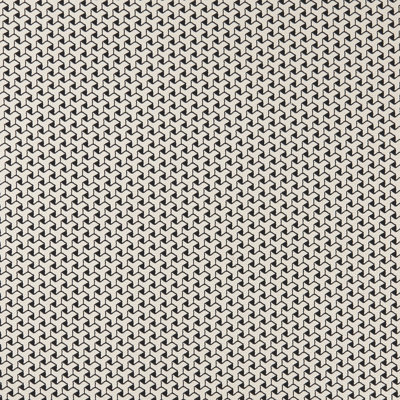 Bw1034 - Black/White Fabric