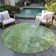  Caseville Area Rug