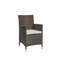 Patio Dining Armchair with Cushion-22459832