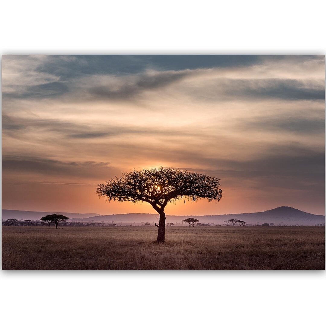 Leinwandbild Baum in der Savanne