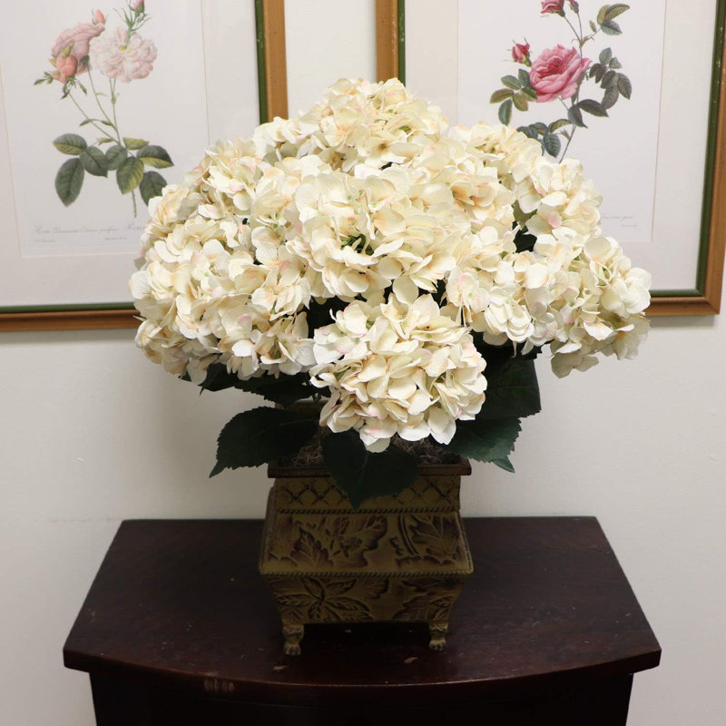 Hydrangea Bush, Beige